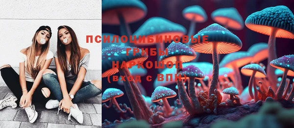 ALPHA-PVP Вяземский