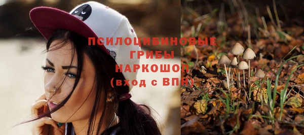 мдпв Горняк